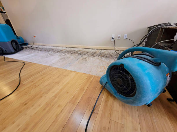 Professional Structural Drying technician working in Addyston, OH